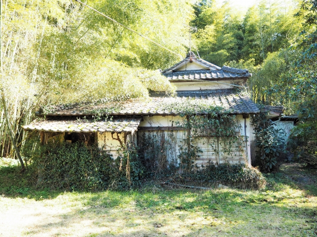 成功事例から学ぶ地域安全対策